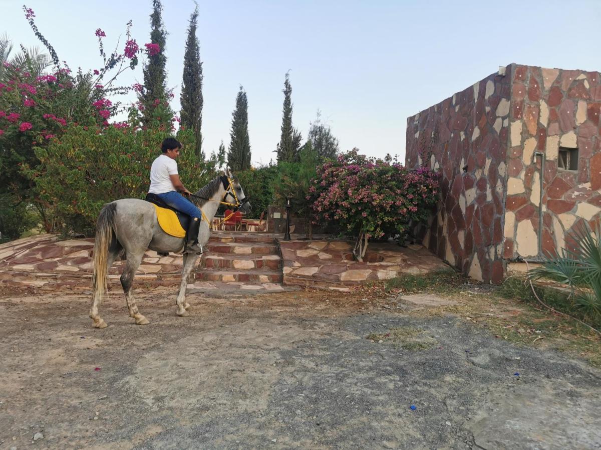 Naseem Country House Hotel Al Ula Exterior photo