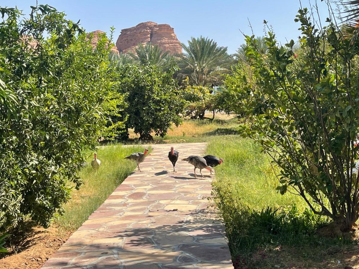 Naseem Country House Hotel Al Ula Exterior photo