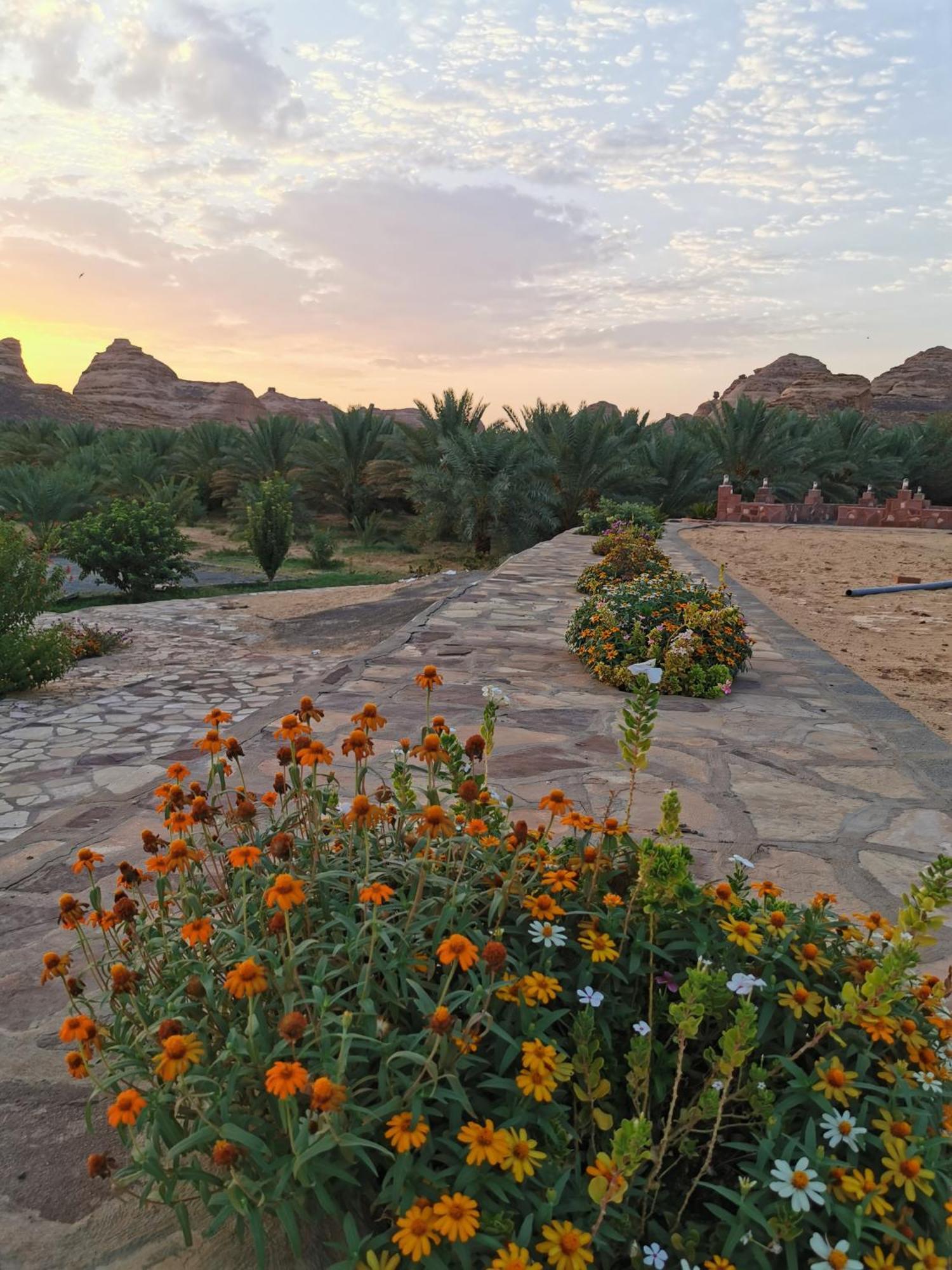 Naseem Country House Hotel Al Ula Exterior photo